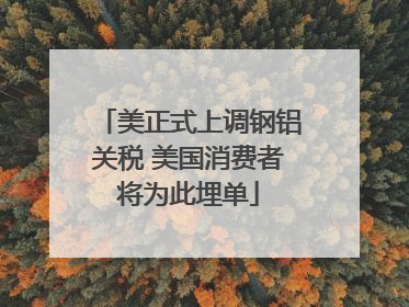 美正式上调钢铝关税 美国消费者将为此埋单