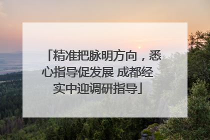 精准把脉明方向，悉心指导促发展 成都经实中迎调研指导