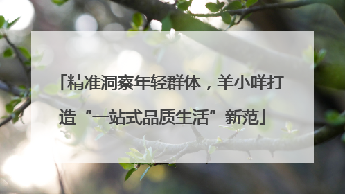 精准洞察年轻群体，羊小咩打造“一站式品质生活”新范