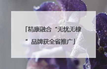精康融合“无忧无棣”品牌获全省推广