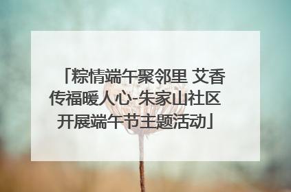 粽情端午聚邻里 艾香传福暖人心-朱家山社区开展端午节主题活动