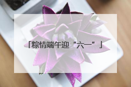 粽情端午迎“六一”