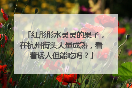 红彤彤水灵灵的果子，在杭州街头大量成熟，看着诱人但能吃吗？