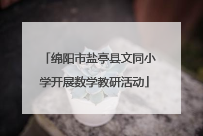 绵阳市盐亭县文同小学开展数学教研活动