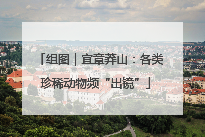 组图｜宜章莽山：各类珍稀动物频“出镜”
