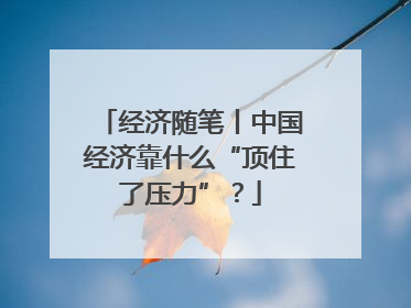 经济随笔丨中国经济靠什么“顶住了压力”？