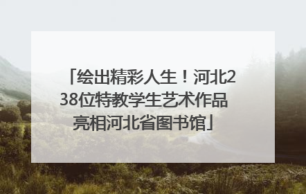 绘出精彩人生！河北238位特教学生艺术作品亮相河北省图书馆