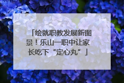 绘就职教发展新图景！乐山一职中让家长吃下“定心丸”
