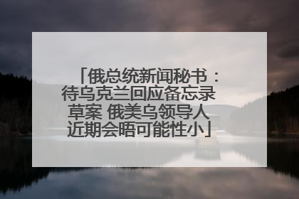 俄总统新闻秘书：待乌克兰回应备忘录草案 俄美乌领导人近期会晤可能性小