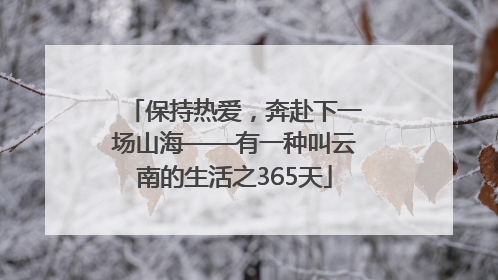 保持热爱，奔赴下一场山海——有一种叫云南的生活之365天