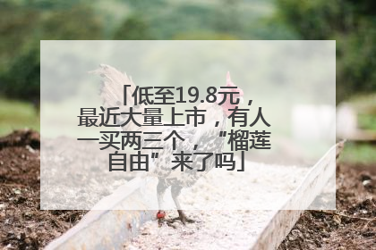 低至19.8元，最近大量上市，有人一买两三个，“榴莲自由”来了吗