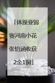 体操亚锦赛河南小花张怡涵收获2金1铜