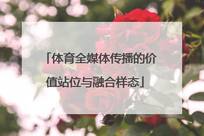 体育全媒体传播的价值站位与融合样态