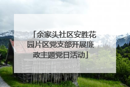 余家头社区安胜花园片区党支部开展廉政主题党日活动