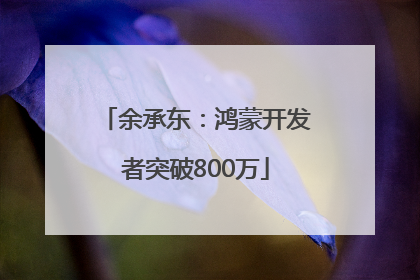 余承东：鸿蒙开发者突破800万