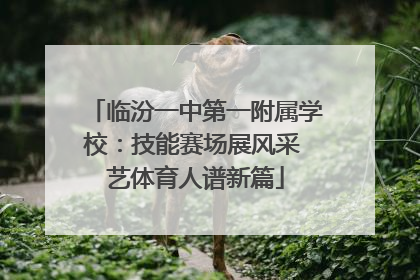 临汾一中第一附属学校：技能赛场展风采 艺体育人谱新篇