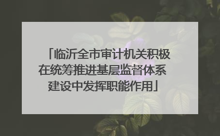 临沂全市审计机关积极在统筹推进基层监督体系建设中发挥职能作用