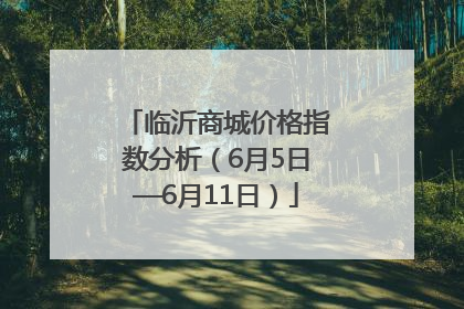 临沂商城价格指数分析（6月5日—6月11日）