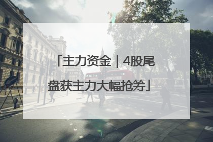 主力资金｜4股尾盘获主力大幅抢筹