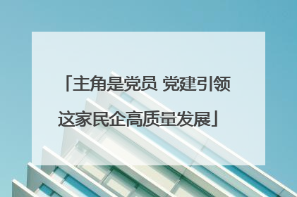 主角是党员 党建引领这家民企高质量发展