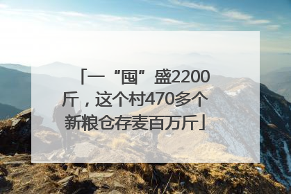 一“囤”盛2200斤，这个村470多个新粮仓存麦百万斤