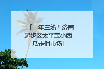一年三熟！济南起步区太平宝小西瓜走俏市场