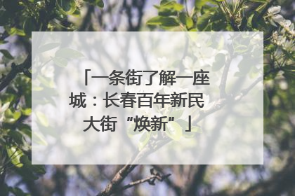 一条街了解一座城：长春百年新民大街“焕新”