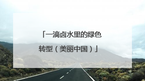 一滴卤水里的绿色转型（美丽中国）
