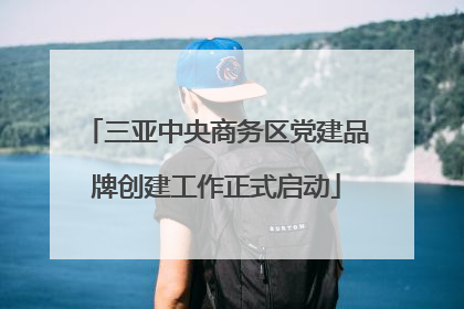 三亚中央商务区党建品牌创建工作正式启动