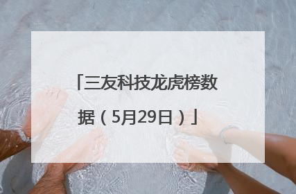 三友科技龙虎榜数据（5月29日）
