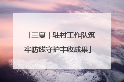 三夏｜驻村工作队筑牢防线守护丰收成果