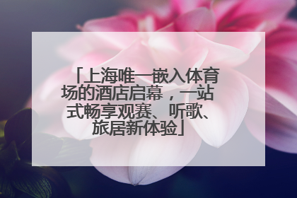上海唯一嵌入体育场的酒店启幕，一站式畅享观赛、听歌、旅居新体验
