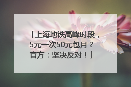 上海地铁高峰时段，5元一次50元包月？官方：坚决反对！