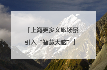 上海更多文旅场景引入“智慧大脑”