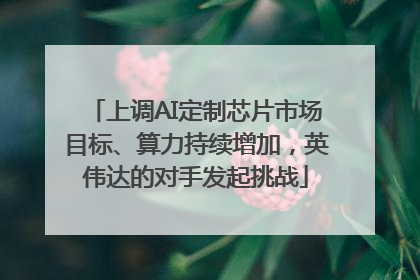 上调AI定制芯片市场目标、算力持续增加，英伟达的对手发起挑战