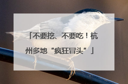 不要挖、不要吃！杭州多地“疯狂冒头”
