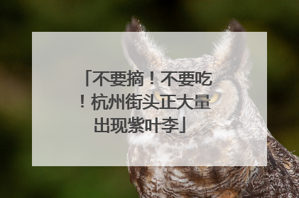 不要摘！不要吃！杭州街头正大量出现紫叶李