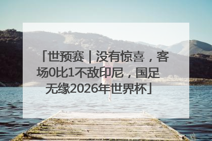 世预赛｜没有惊喜，客场0比1不敌印尼，国足无缘2026年世界杯