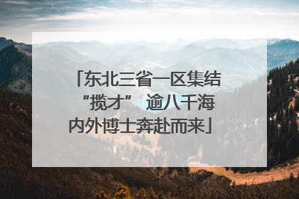 东北三省一区集结“揽才” 逾八千海内外博士奔赴而来