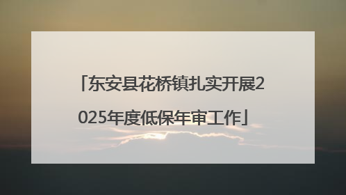 东安县花桥镇扎实开展2025年度低保年审工作