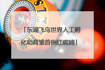 东湖飞鸟世界人工孵化和育雏首例红嘴鸥