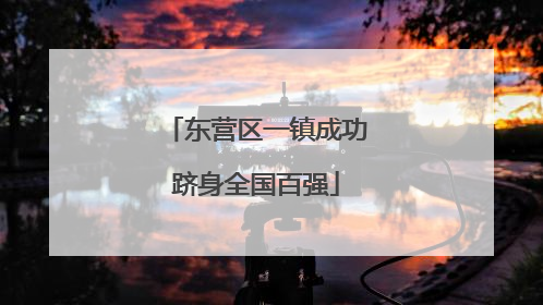 东营区一镇成功跻身全国百强