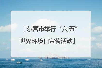 东营市举行“六·五”世界环境日宣传活动