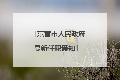 东营市人民政府最新任职通知