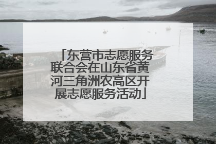 东营市志愿服务联合会在山东省黄河三角洲农高区开展志愿服务活动
