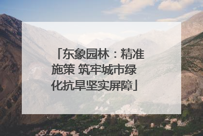 东象园林：精准施策 筑牢城市绿化抗旱坚实屏障