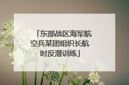 东部战区海军航空兵某团组织长航时反潜训练