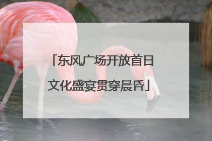 东风广场开放首日 文化盛宴贯穿晨昏
