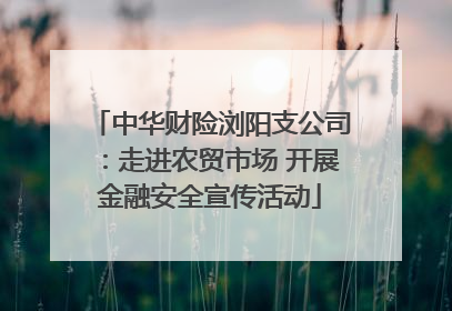 中华财险浏阳支公司：走进农贸市场 开展金融安全宣传活动