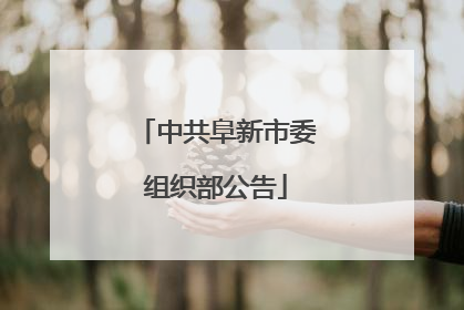 中共阜新市委组织部公告